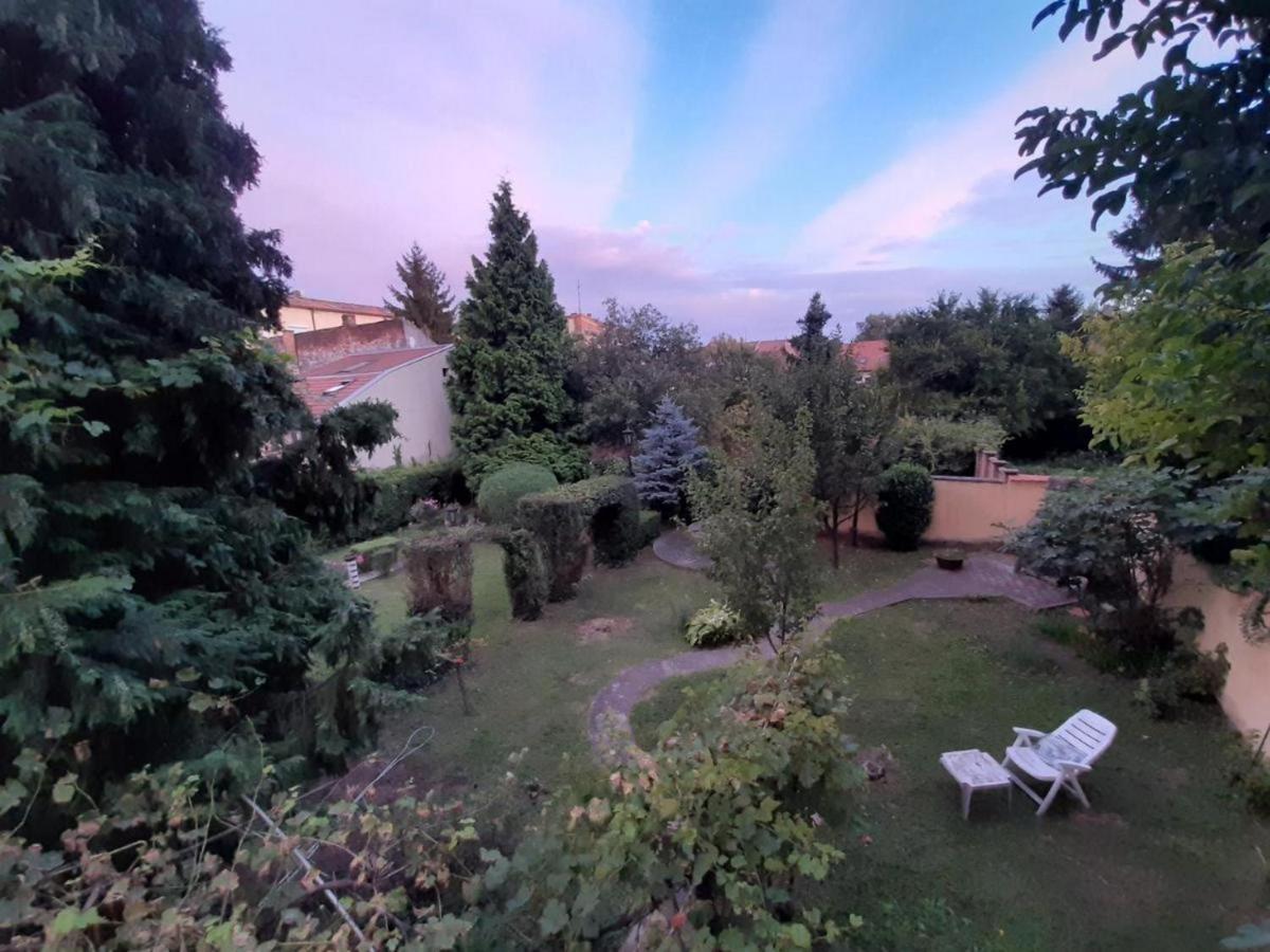 Cocic Garden Διαμέρισμα Όσιγιεκ Εξωτερικό φωτογραφία