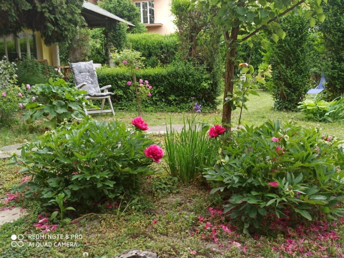 Cocic Garden Διαμέρισμα Όσιγιεκ Εξωτερικό φωτογραφία