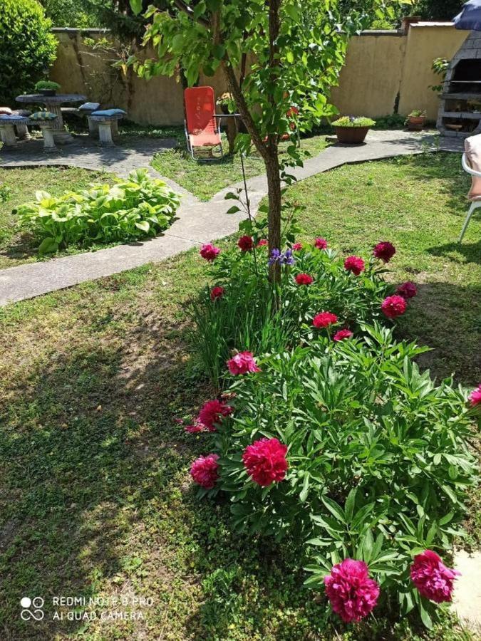 Cocic Garden Διαμέρισμα Όσιγιεκ Εξωτερικό φωτογραφία