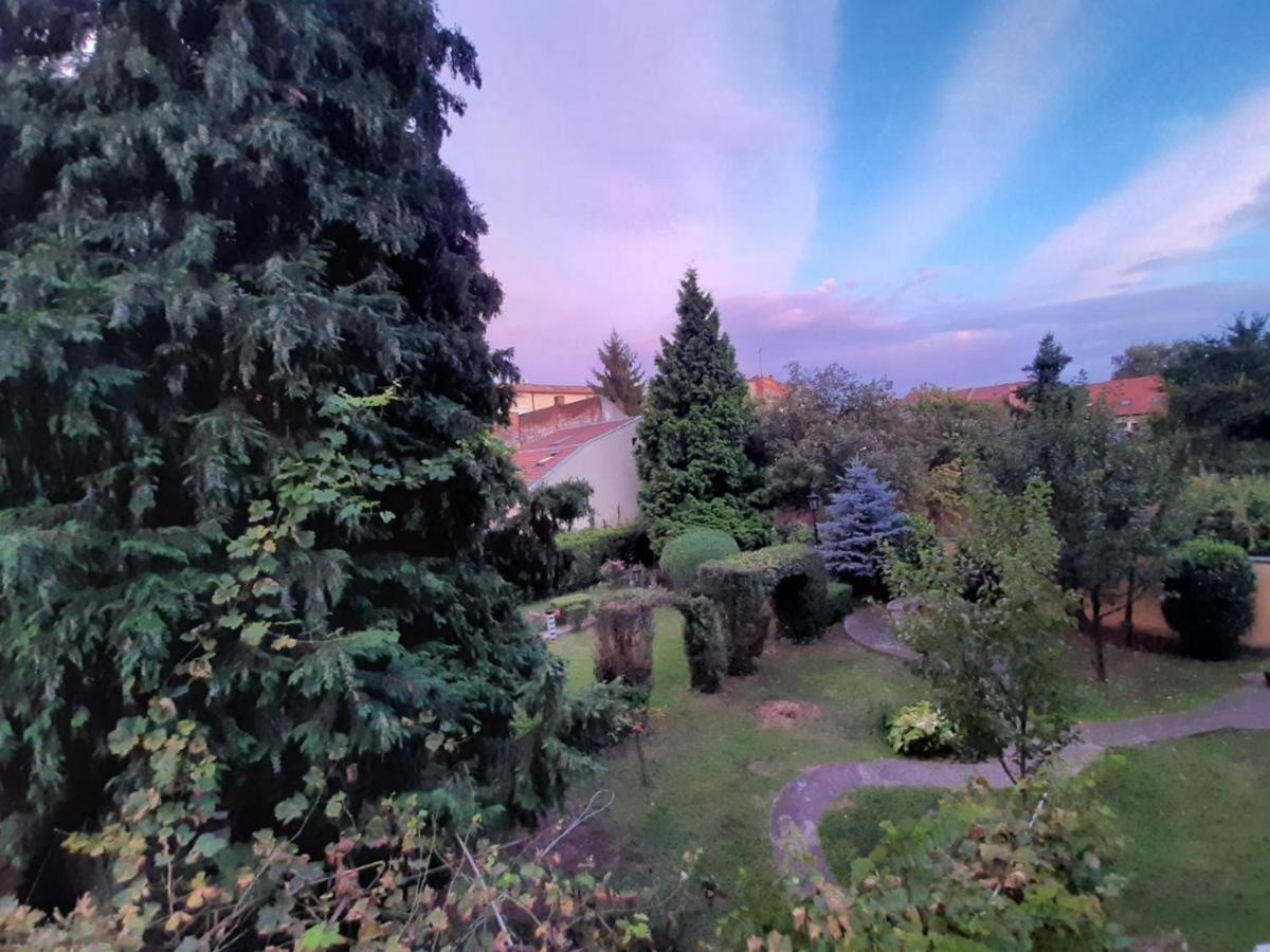 Cocic Garden Διαμέρισμα Όσιγιεκ Εξωτερικό φωτογραφία