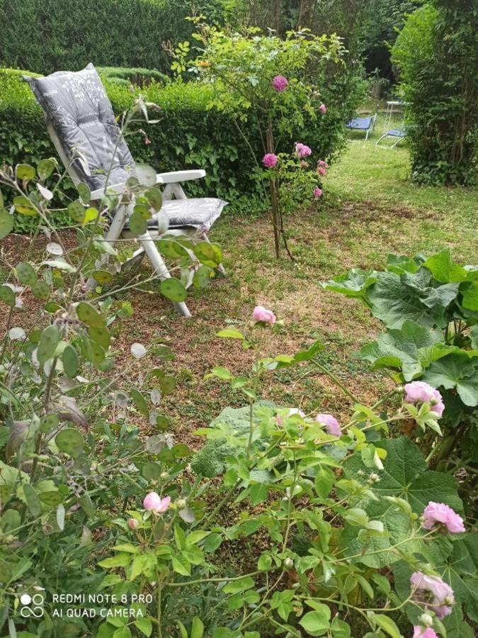Cocic Garden Διαμέρισμα Όσιγιεκ Εξωτερικό φωτογραφία