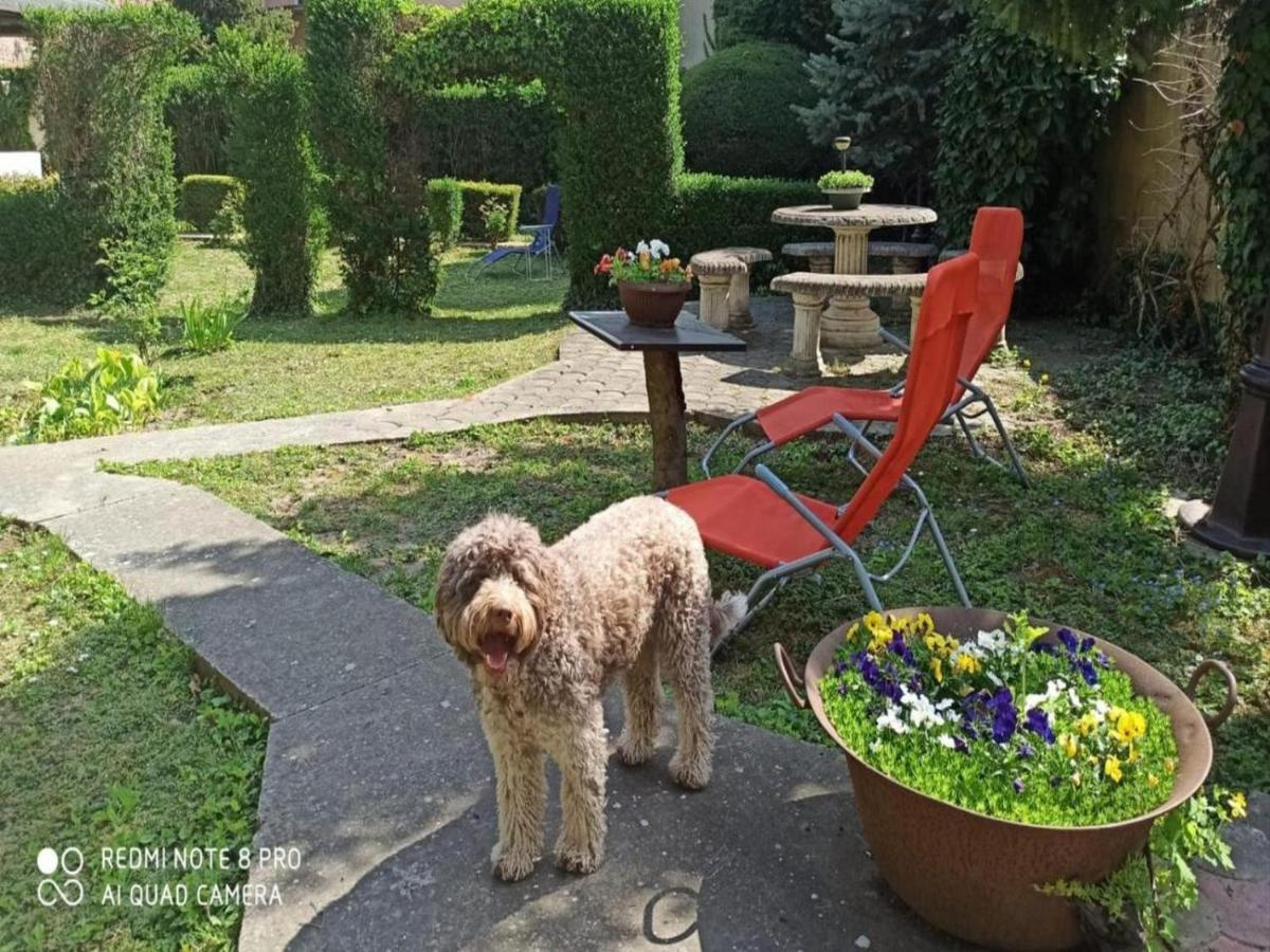 Cocic Garden Διαμέρισμα Όσιγιεκ Εξωτερικό φωτογραφία